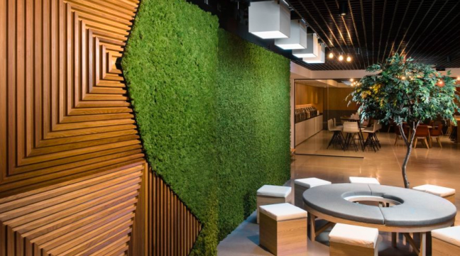Diseño biofílico por las tendencias de diseño de interiores de oficina según el Grupo Bluehaus para 2019